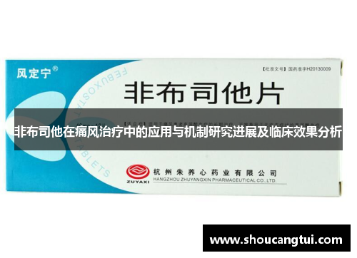 非布司他在痛风治疗中的应用与机制研究进展及临床效果分析