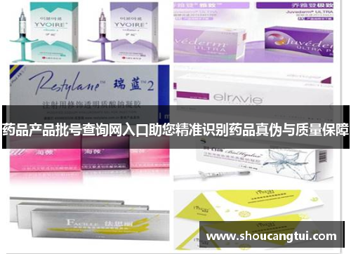 药品产品批号查询网入口助您精准识别药品真伪与质量保障